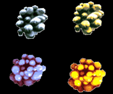color